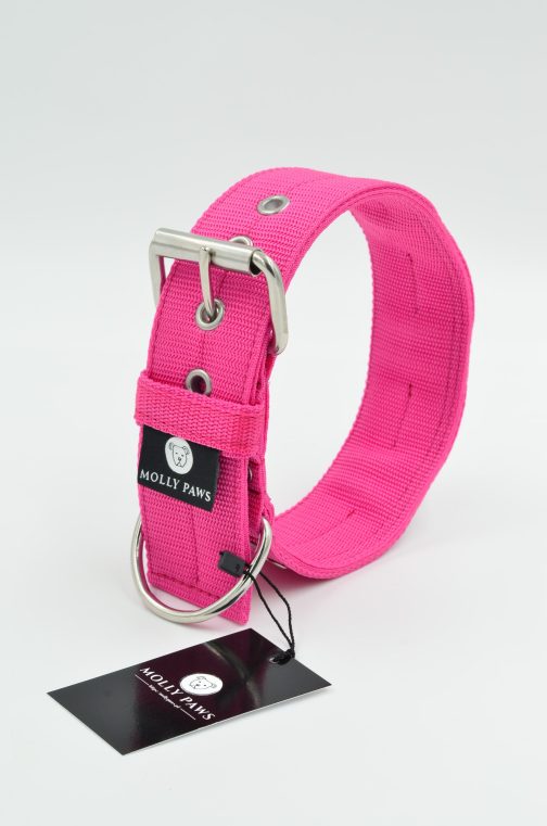 DSC_0251 Obroża BOKSER