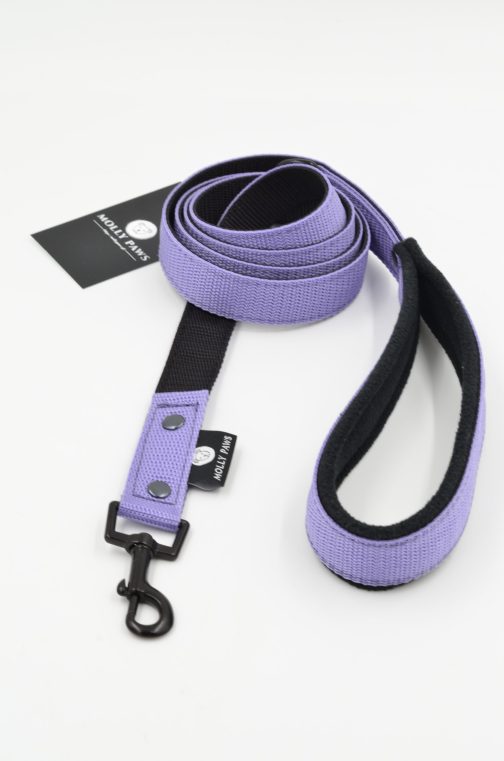 DSC_0317 Smycz lekka dwukolorowa z rączką szer.2.5cm