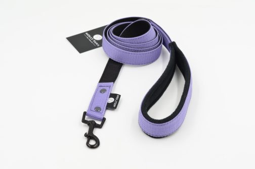 DSC_0318 Smycz lekka dwukolorowa z rączką szer.2.5cm