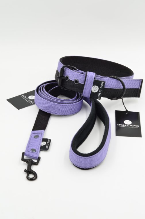 DSC_0319 Smycz lekka dwukolorowa z rączką szer.2.5cm