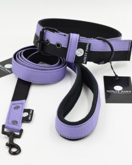 Zestaw Dwukolorowy Obroża i Smycz Lekka