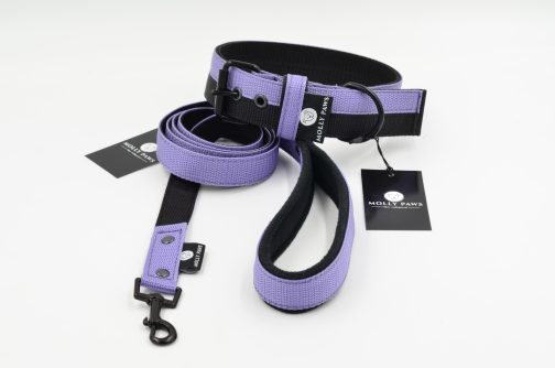 DSC_0320 Smycz lekka dwukolorowa z rączką szer.2.5cm