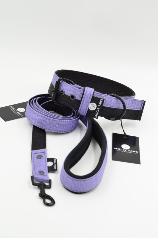 DSC_0321 Smycz lekka dwukolorowa z rączką szer.2.5cm