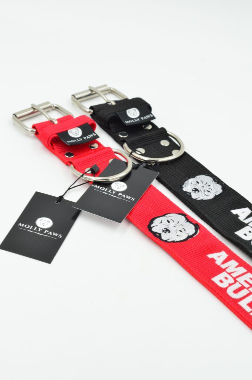 DSC_0334 Obroża AMERICAN BULLY