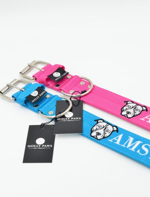 DSC_0344 Obroża AMSTAFF