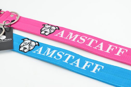 DSC_0349 Obroża AMSTAFF