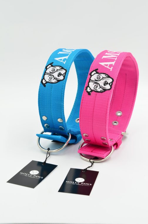 DSC_0369 Obroża AMSTAFF