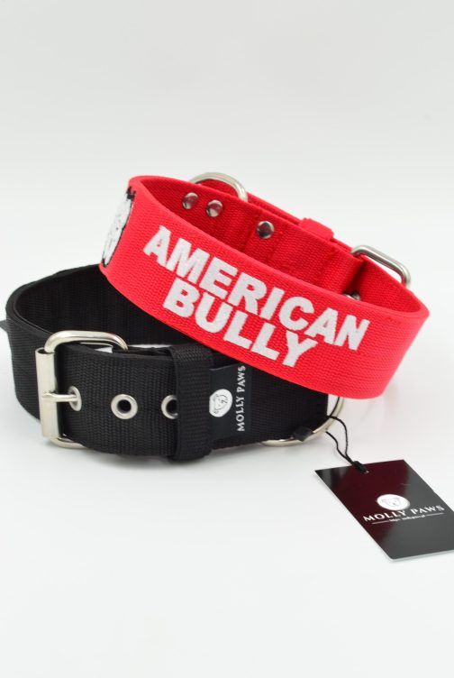 DSC_0377 Obroża AMERICAN BULLY