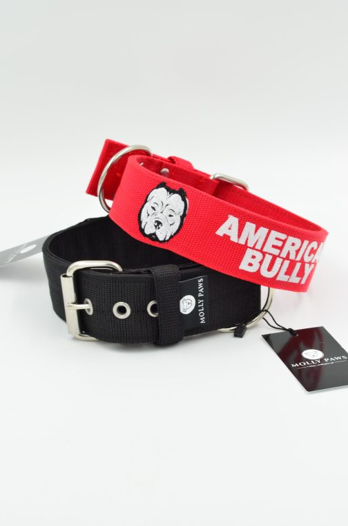 DSC_0379 Obroża AMERICAN BULLY