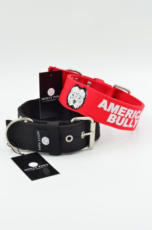 DSC_0381 Obroża AMERICAN BULLY