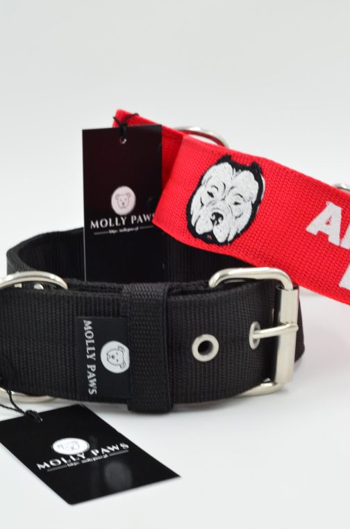 DSC_0383 Obroża AMERICAN BULLY