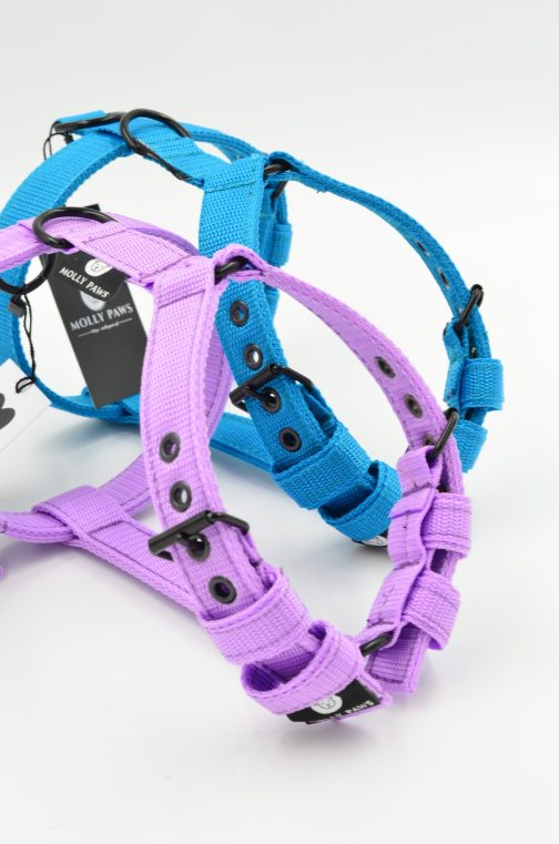 Szelki o szerokości 2,5cm LEKKIE