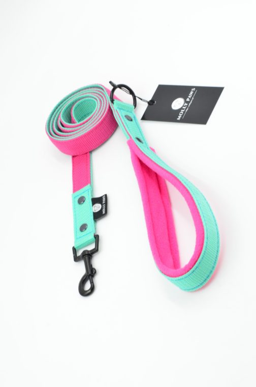 DSC_0779 Smycz lekka dwukolorowa z rączką szer.2.5cm