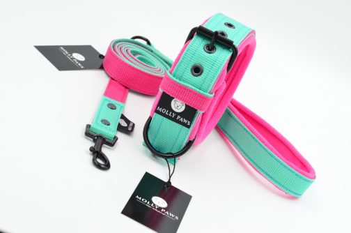 DSC_0789 Smycz lekka dwukolorowa z rączką szer.2.5cm