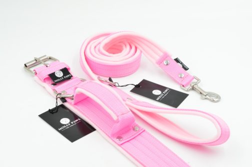 DSC_0811 Obroża z Uchwytem i polarem o szer.5cm STAL NIERDZEWNA- POLECANE