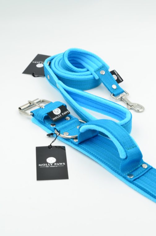 DSC_0816 Obroża z Uchwytem i polarem o szer.5cm STAL NIERDZEWNA- POLECANE