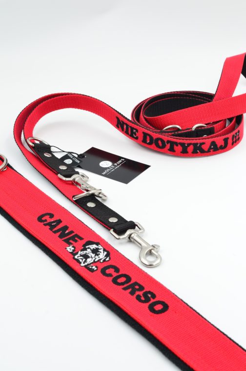 Zestaw dla Cane Corso