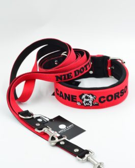 DSC_0862 Zestaw dla Cane Corso