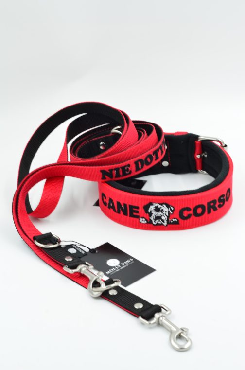 Zestaw dla Cane Corso