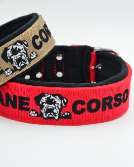 Obroża Cane Corso