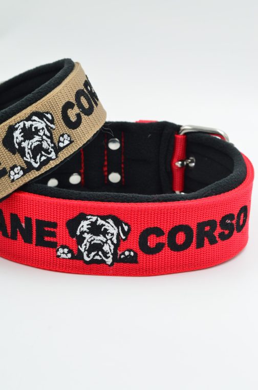 DSC_0866 Obroża Cane Corso