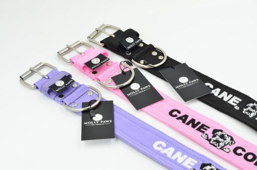 DSC_0933 Obroża Cane Corso