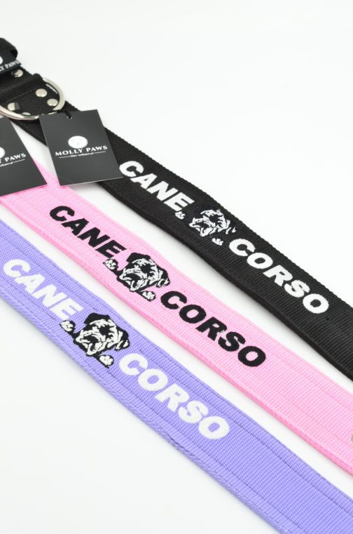 DSC_0939 Obroża Cane Corso