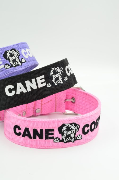 DSC_0947 Obroża Cane Corso