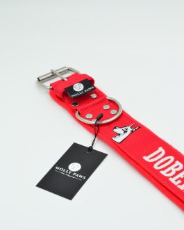 DSC_0961 Obroża DOBERMAN