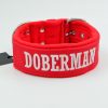 Obroża DOBERMAN