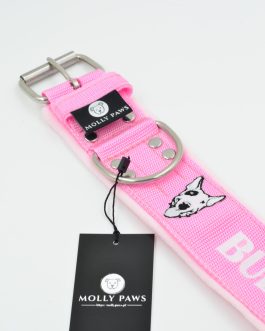 DSC_0966 Obroża BULLTERIER